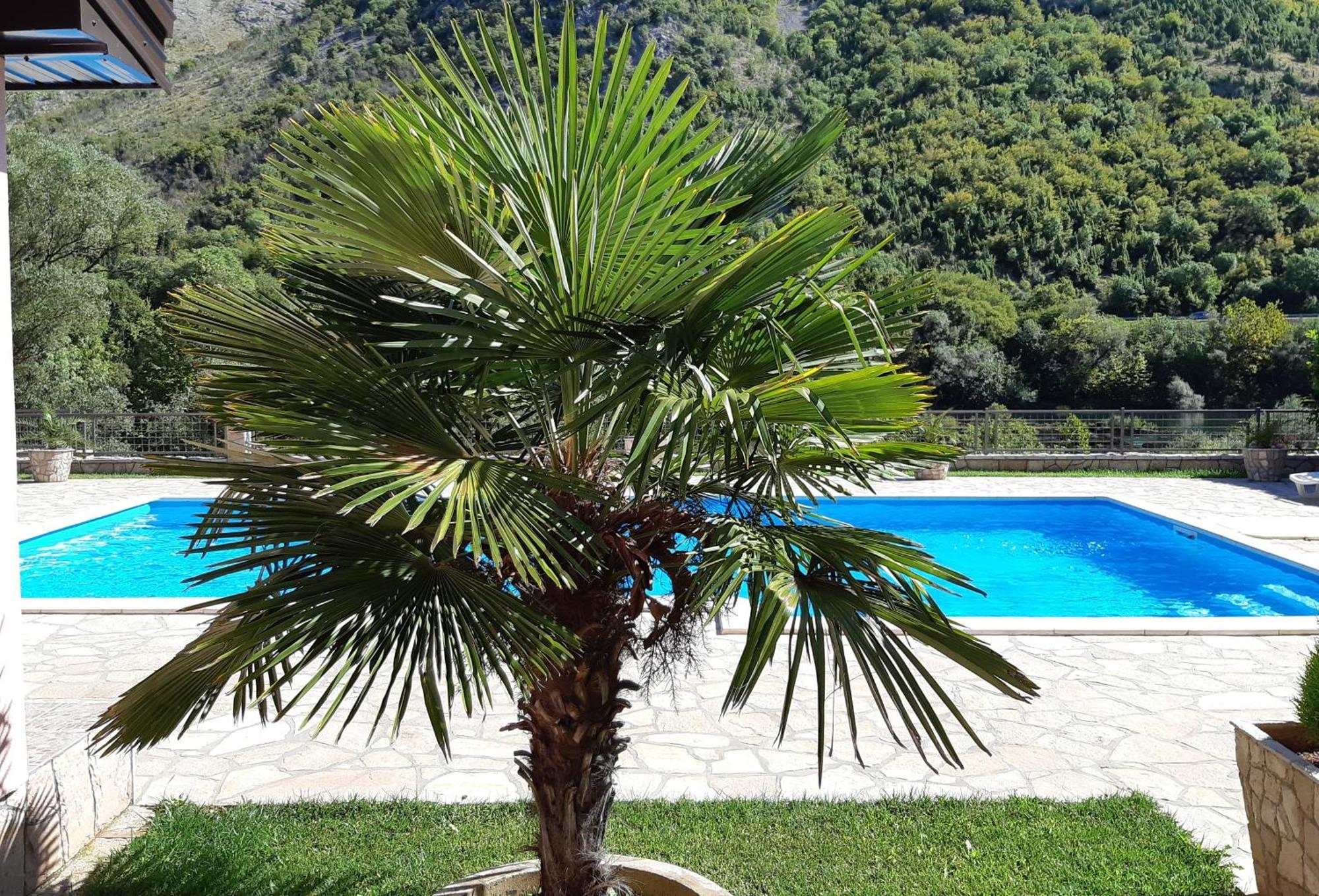 Hacienda Neretva Villa Buna Ngoại thất bức ảnh